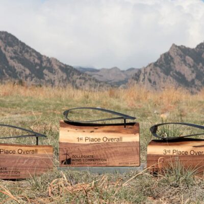 Custom walnut and found object award